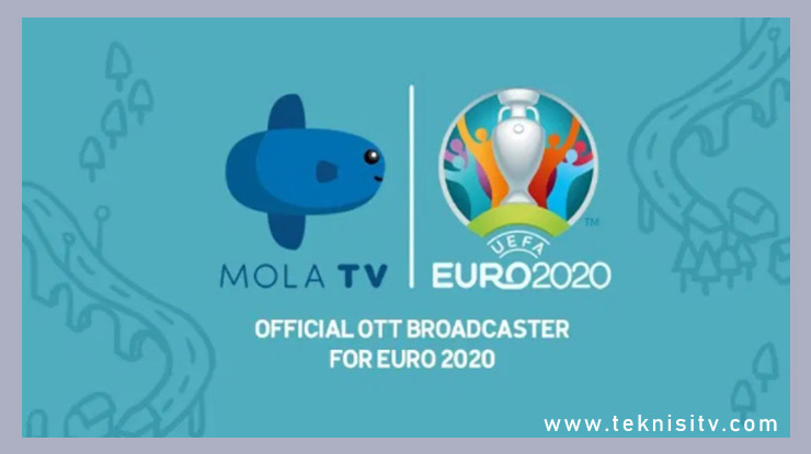 Kesimpulan Cara Menonton EURO 2020 di Parabola