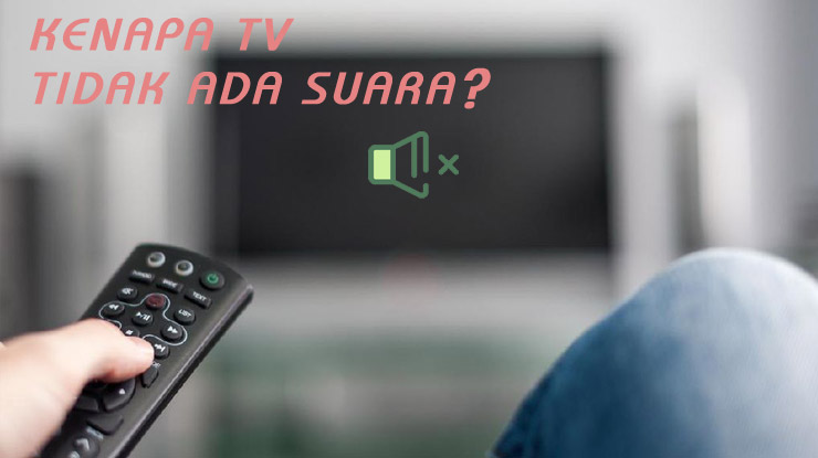 KENAPA TV DIGITAL TIDAK ADA SUARA.